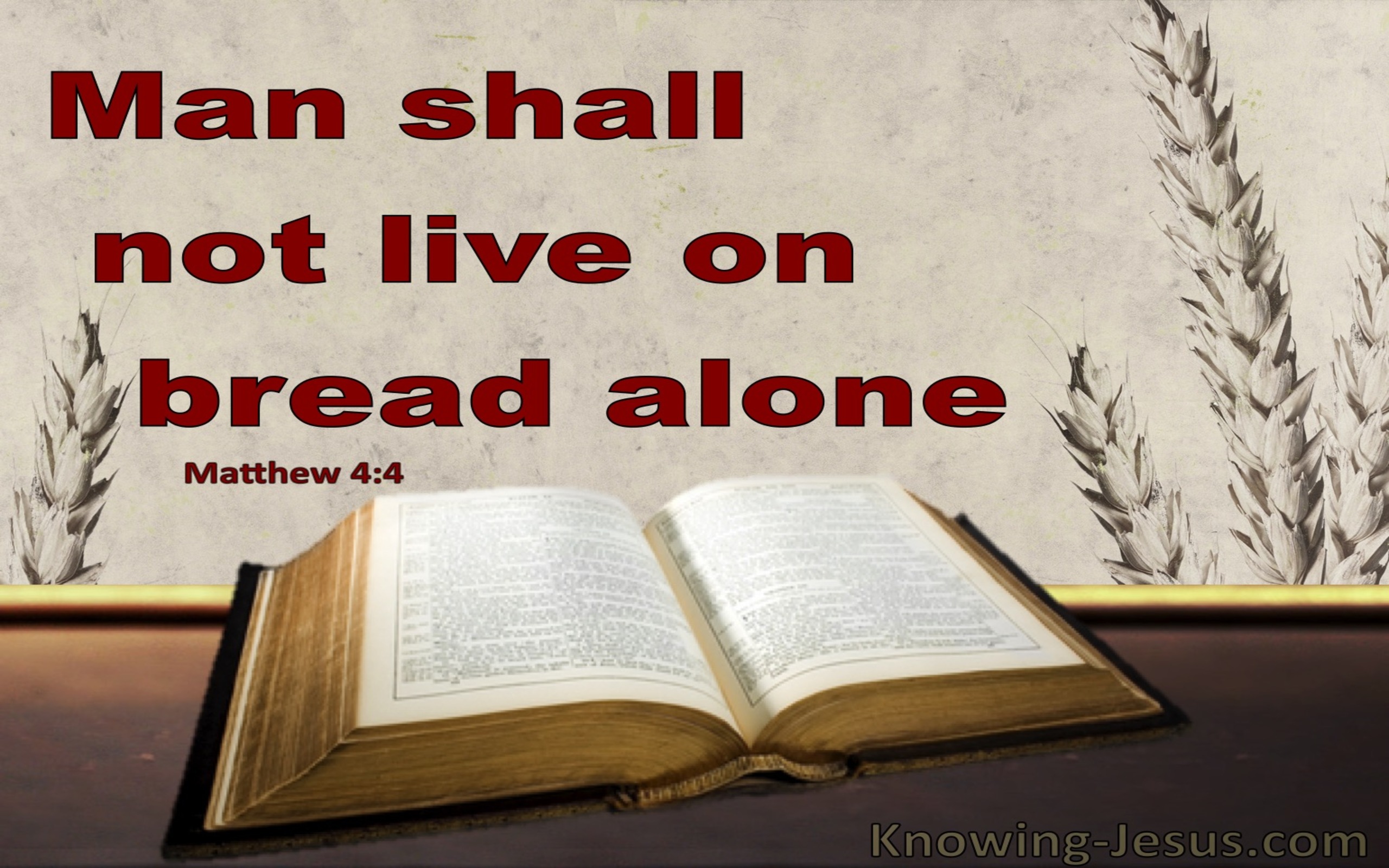 Matthew 4:4 Man Shall Not Live On Breat Alone (gray)
